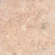 Shellstone